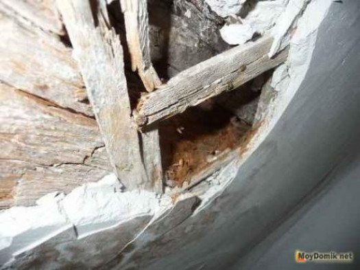 Ремонт деревянных балок перекрытия. Как отремонтировать деревянную балку перекрытия своими силами