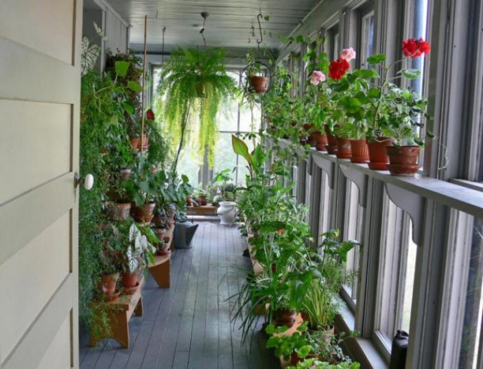 Как обустроить зимний сад на балконе или лоджии в квартире