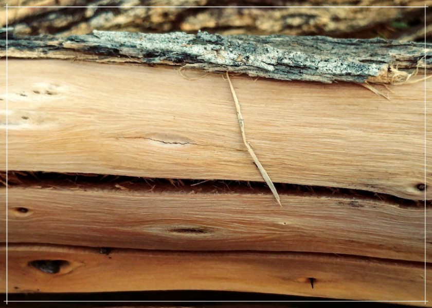 Какая древесина подходит для строительства бани