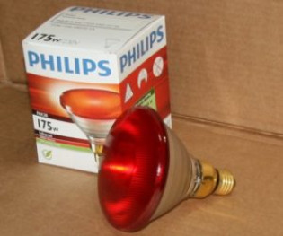 Лампа рефлектор или инфракрасного нагрева