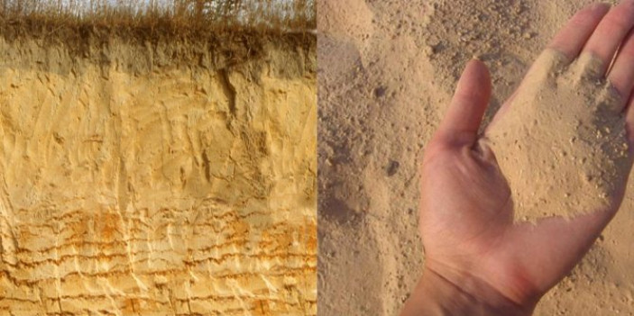 Особенности почвы с преобладанием песка
